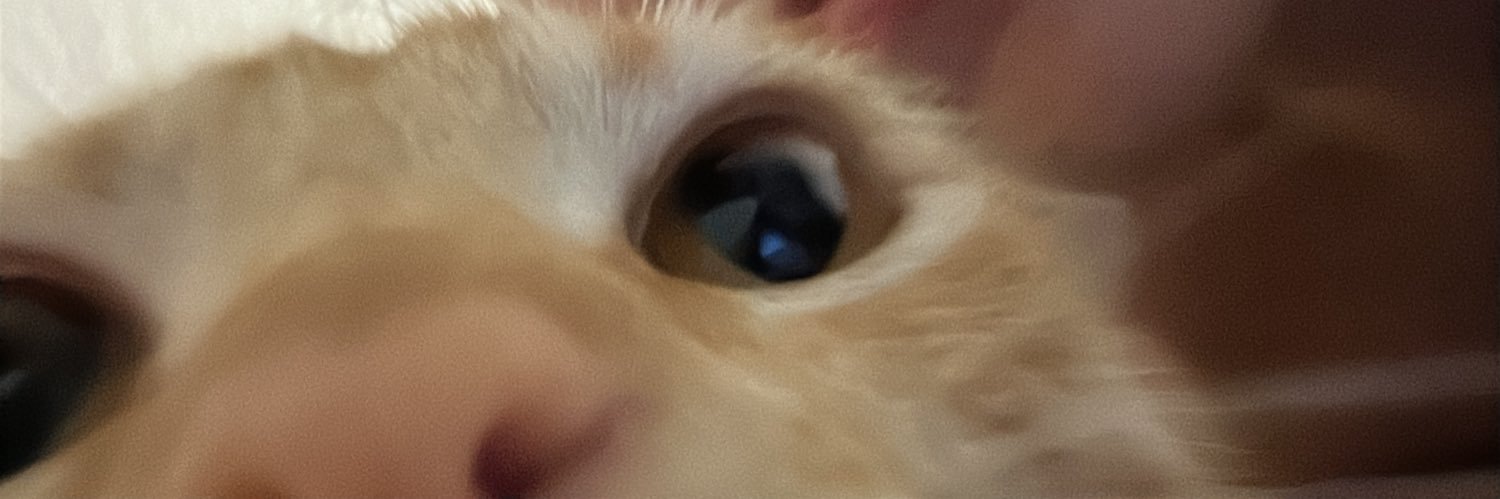 isistindo's profile banner image