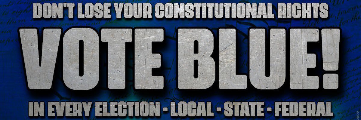 Dan Vote BLUE always #RESIST🌊🌊🌊 banner