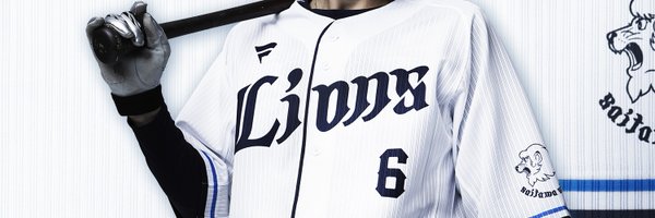 Lionsstore_web Profile Banner