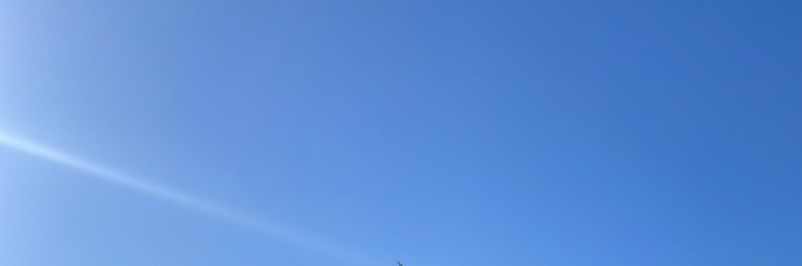 malik banner