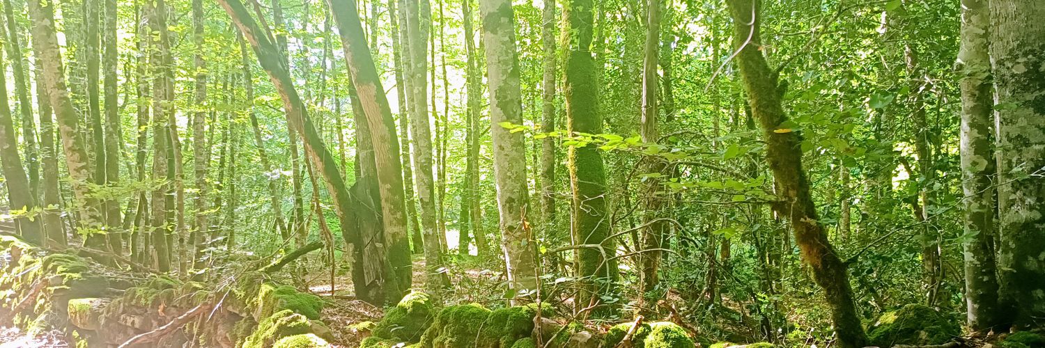 Nacho Marimón banner