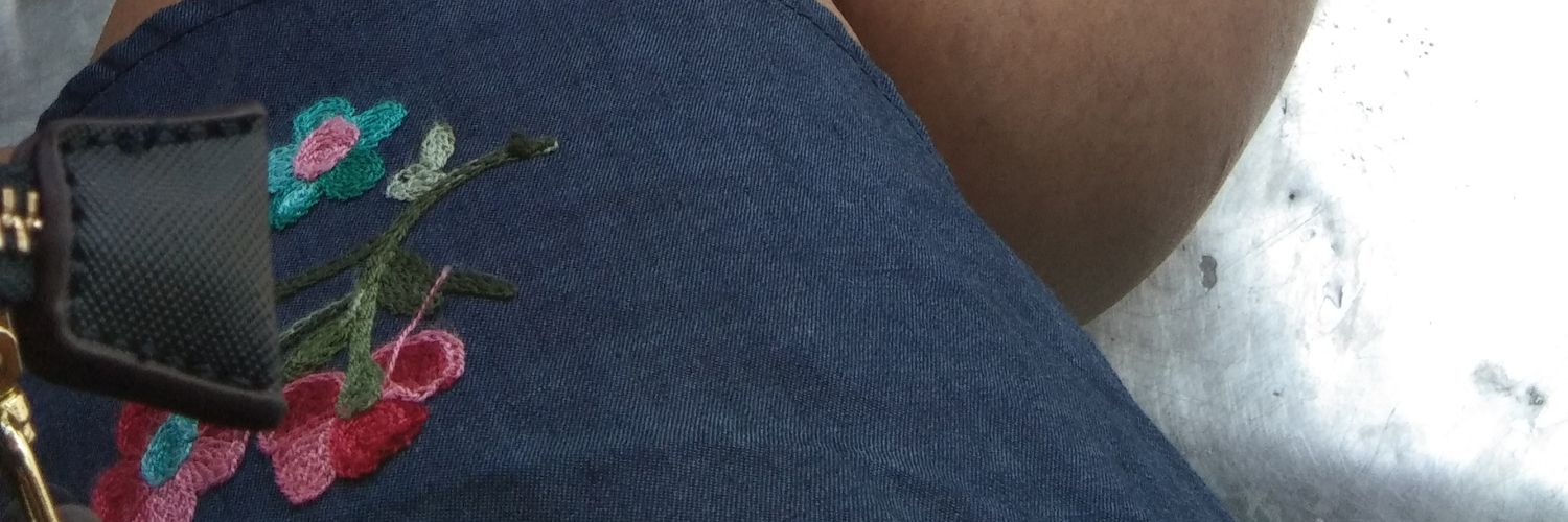 BaribotPey's profile banner image