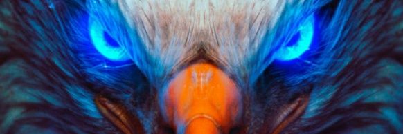 AQL💎⁴⁸ banner