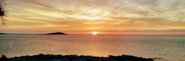 RozzaRiccardo Profile Banner