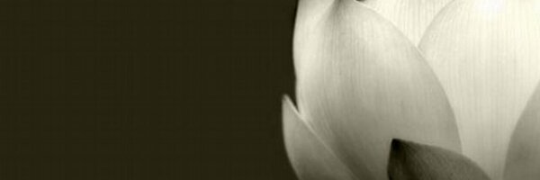 praka_shh Profile Banner