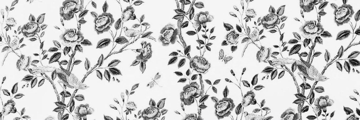 Valentina Romani banner