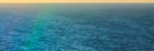 DAnnStelly's profile banner image