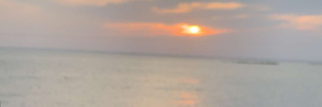 Phycho19's profile banner image