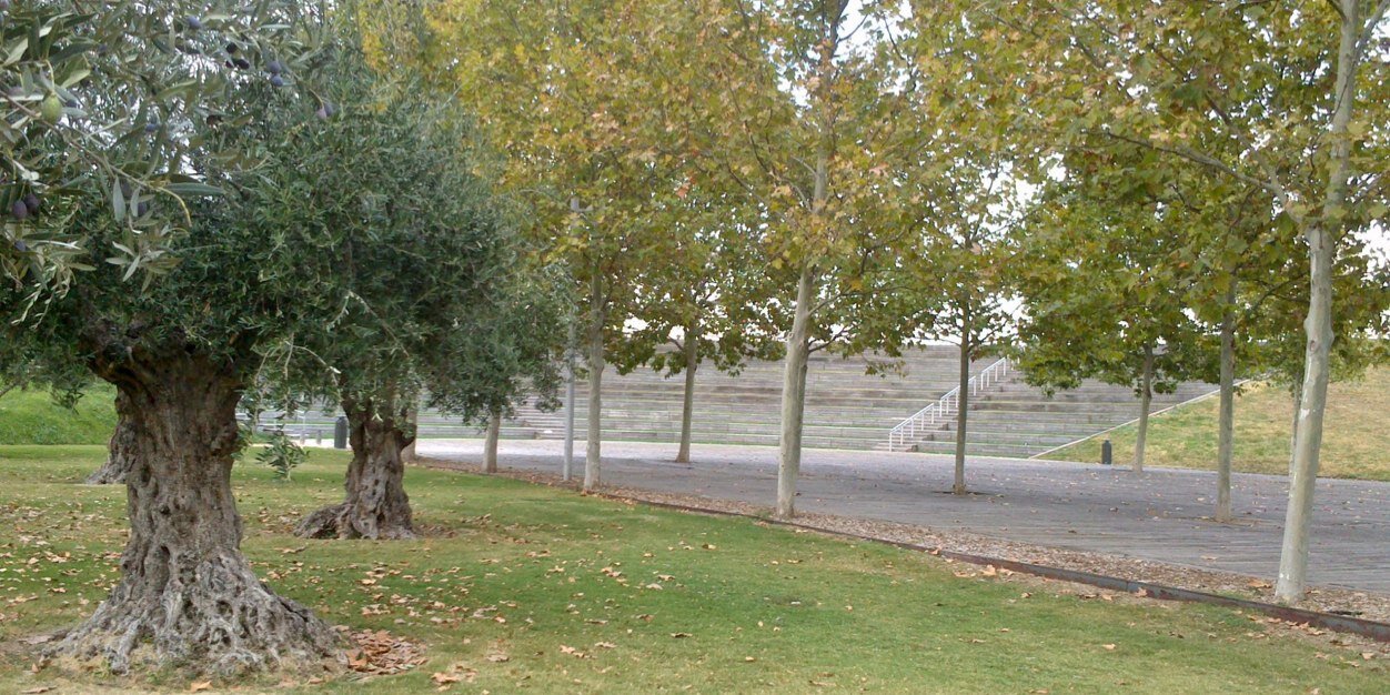 Mariano de Pablo banner