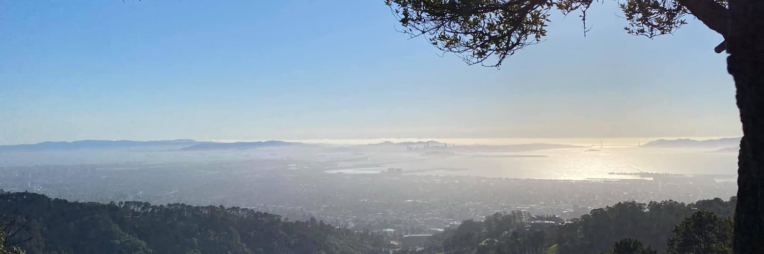 Flagpole Sitta👽 banner