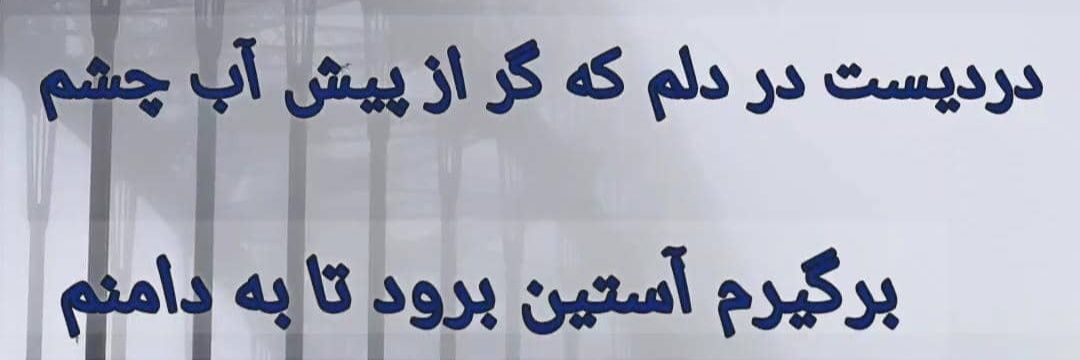 Hamed banner