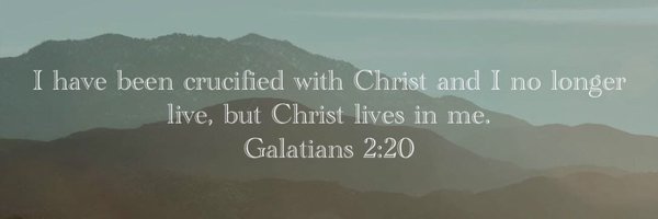 NicSuglio Profile Banner