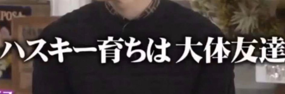 ノン banner