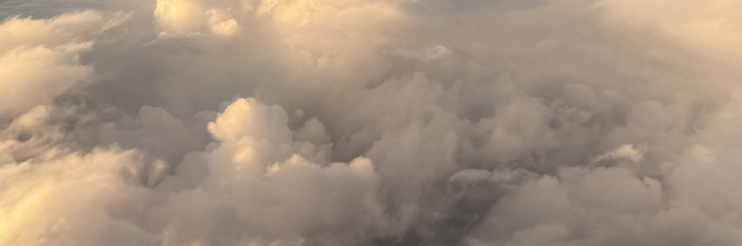ThompsonMegann's profile banner image