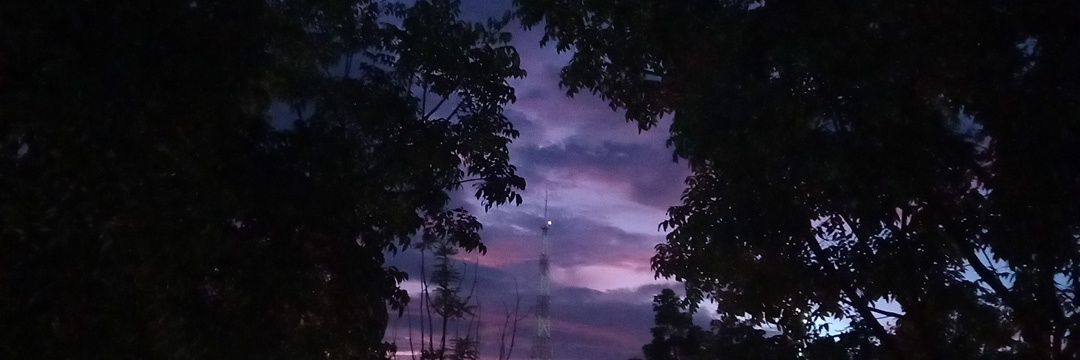 bongcoy_'s profile banner image