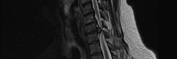 Psychologicsal Profile Banner