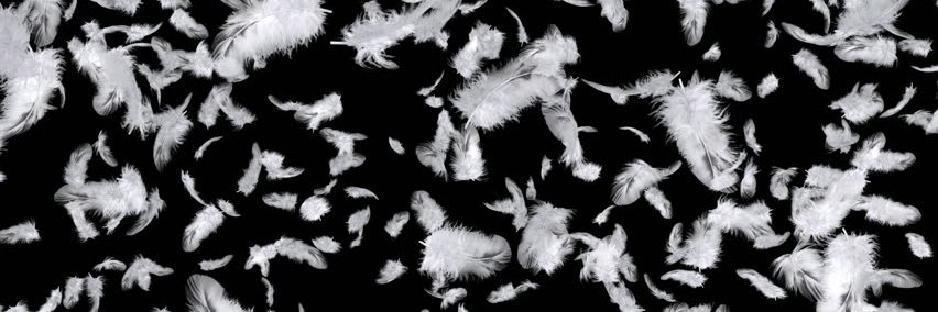 HopelessPrxphet's profile banner image