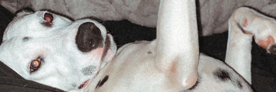 Logan_bro1's profile banner image