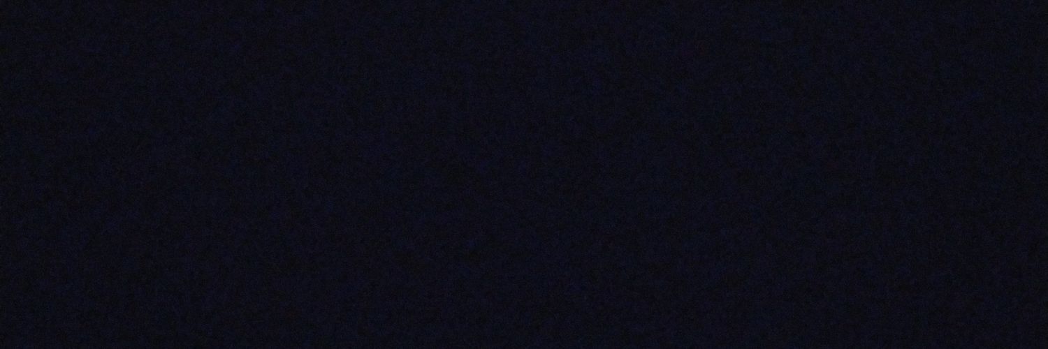 Sakanadeeee's profile banner image