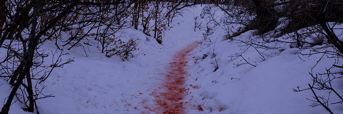 Scottshrimp044 banner