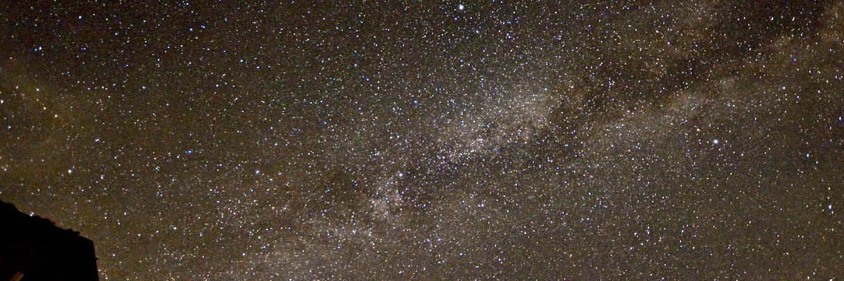 サトラッシュ banner