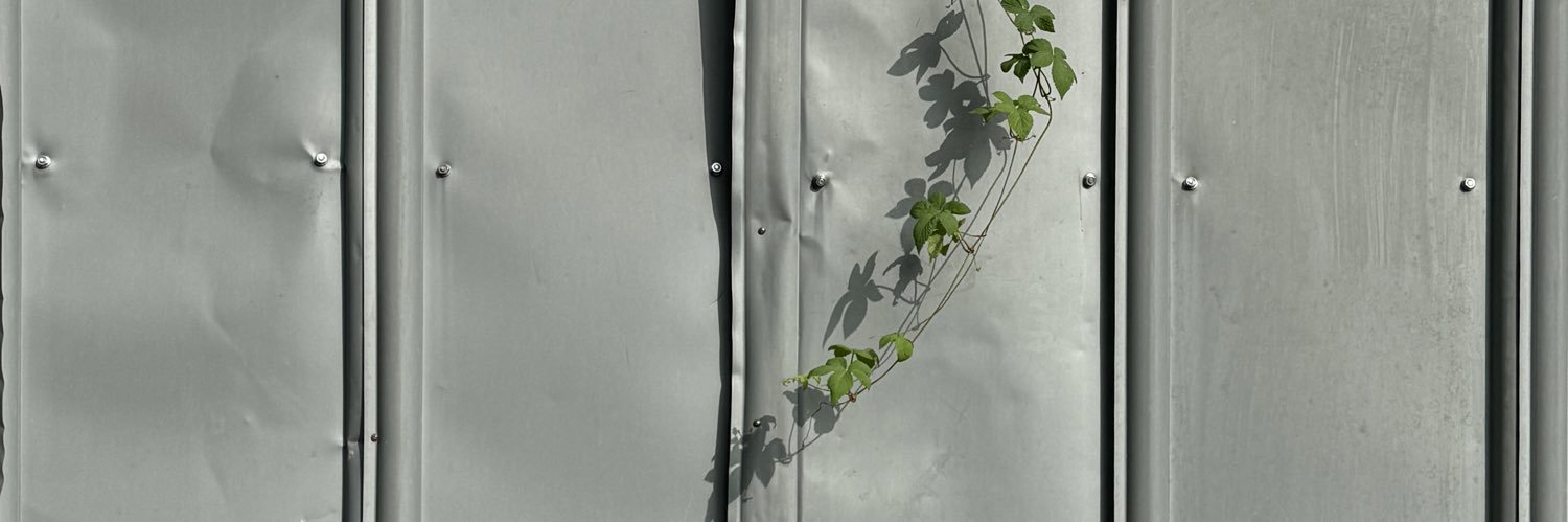 auroraspangle_'s profile banner image