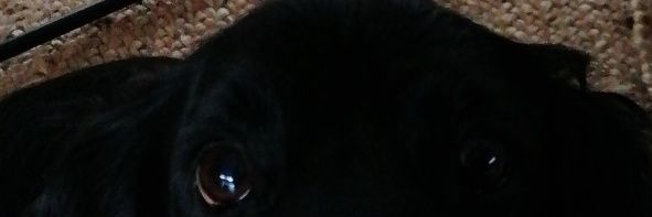vorle2's profile banner image