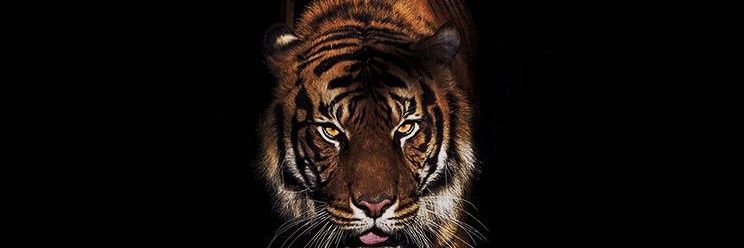 ملهم الغربية 🐟 banner