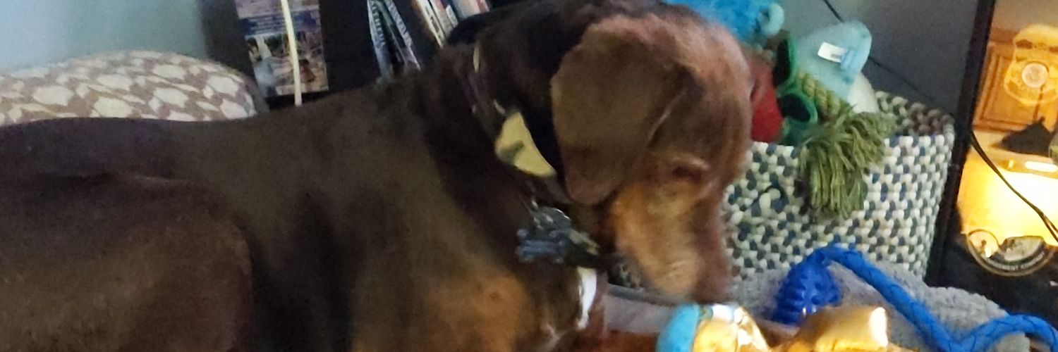 whitthebeast's profile banner image