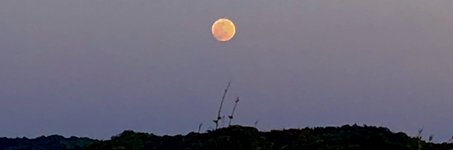 nikudama57's profile banner image