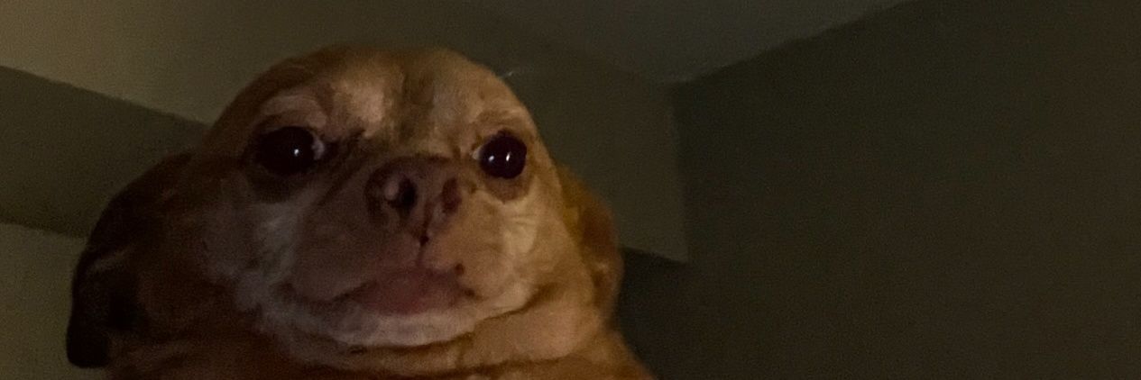 SSOHAILAMOSTAFA's profile banner image