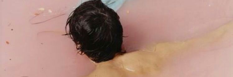 zaylovesharry_'s profile banner image