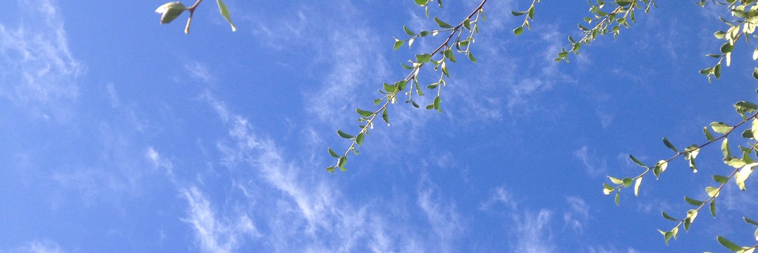 DenisCaroD's profile banner image