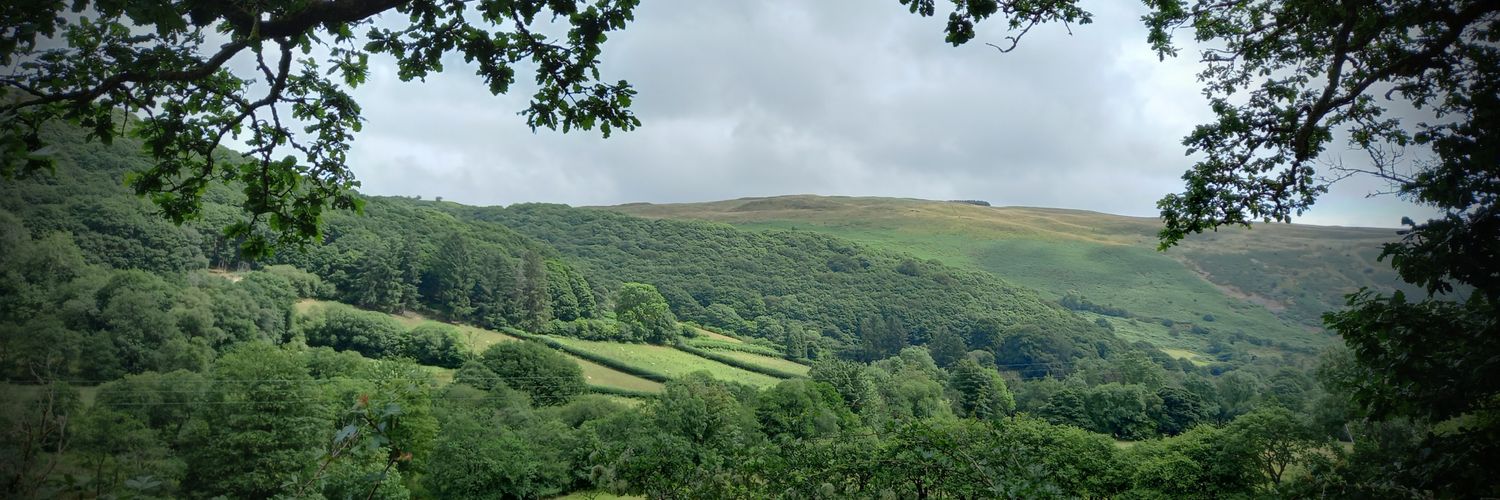 ReeceDolan4's profile banner image
