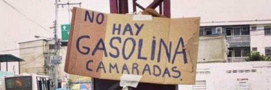 The PALOMINO Center's banner
