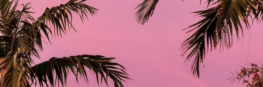 Skyplays5's profile banner image