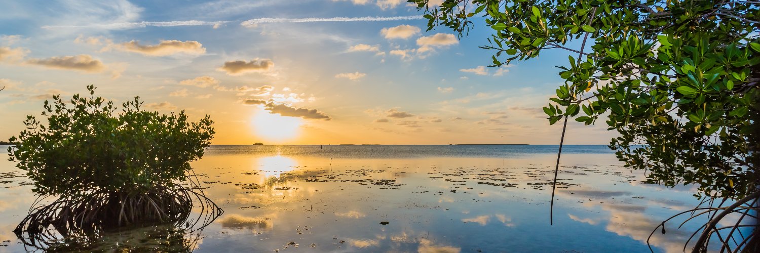 The Nature Conservancy in Alabama banner