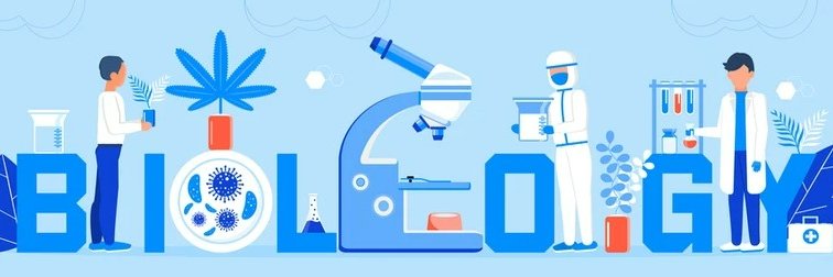 Johan Claessens 🇳🇱 banner