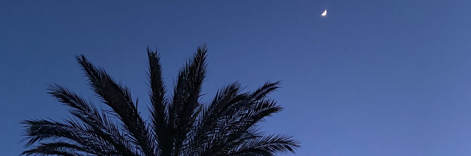 GriffD_'s profile banner image