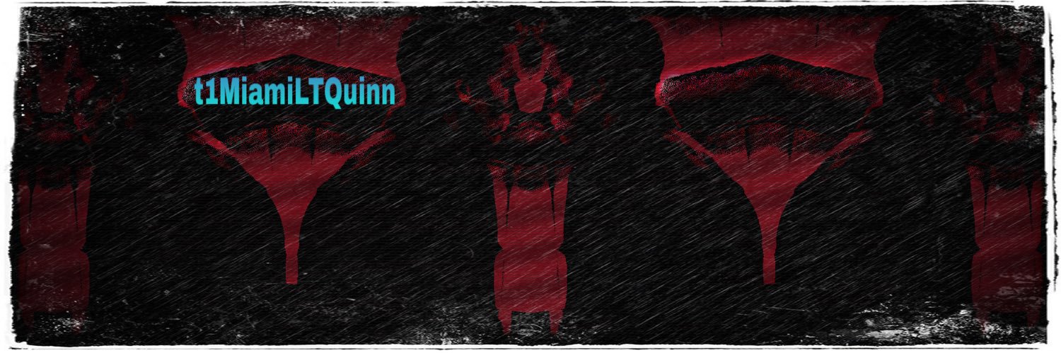 T1MiamiLTQuinn's profile banner image
