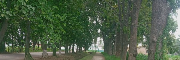 Ajbaba17 Profile Banner