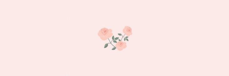 StefiFraenkel's profile banner image