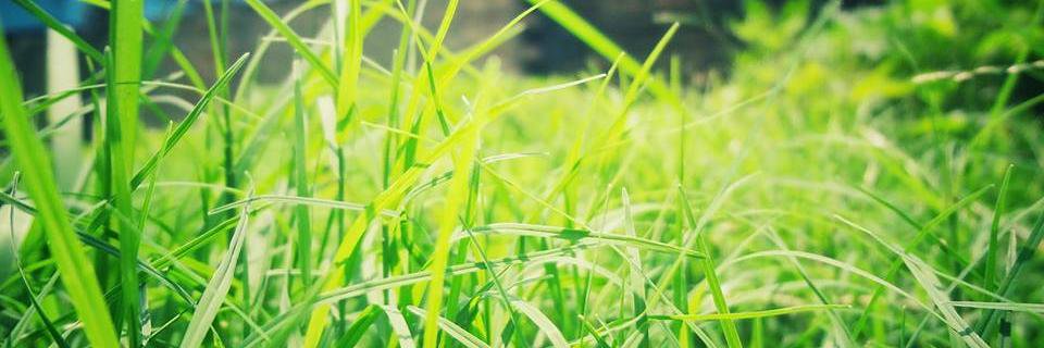 twitnilay's profile banner image