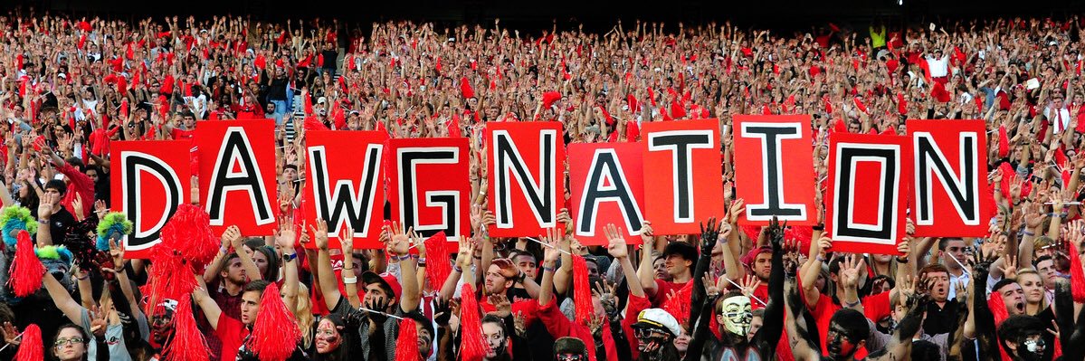 University of Georgia Bulldogs Football banner