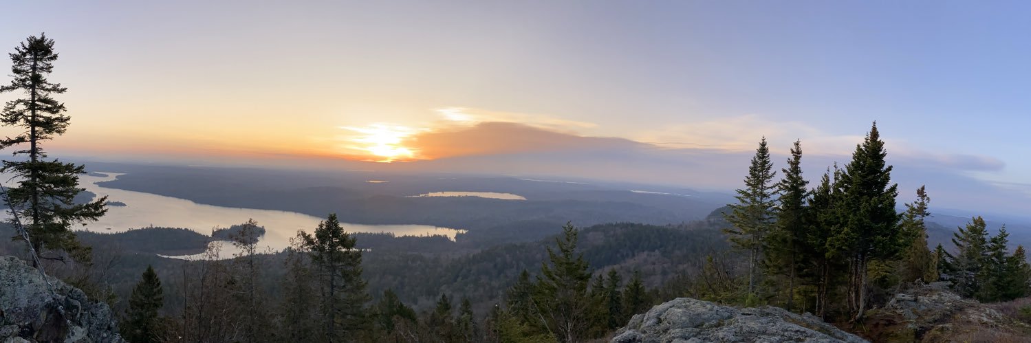 Cynthia Daisy Smith, MD banner