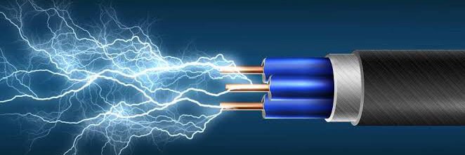 Elvis faraday banner