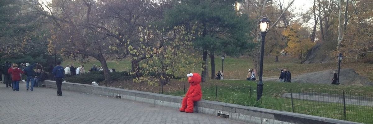 soffiamg's profile banner image