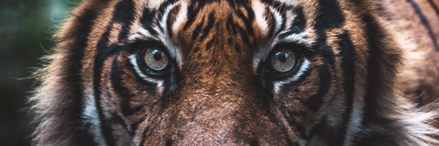 Josh Price Visuals 📸 ⚒️ 🇬🇧 banner