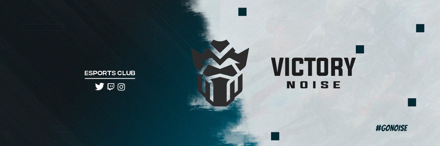 Victory Noise Team banner