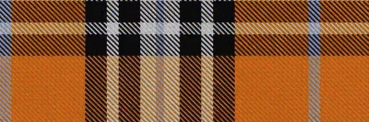 tangy🍊's banner